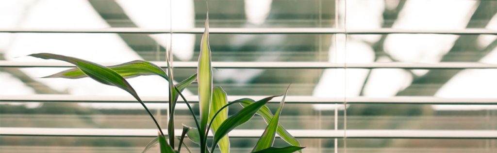 jaluzele care produc energie verde