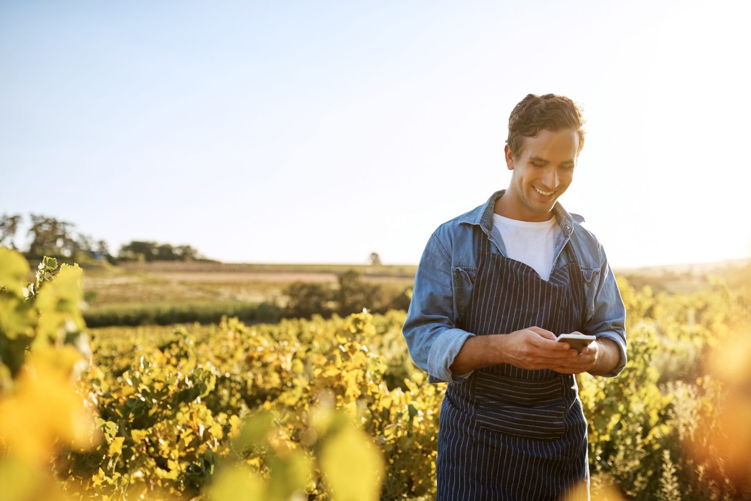 Creșterea sectorului energetic în condiții de sustenabilitate Creșterea sectorului energetic în condiții de sustenabilitate