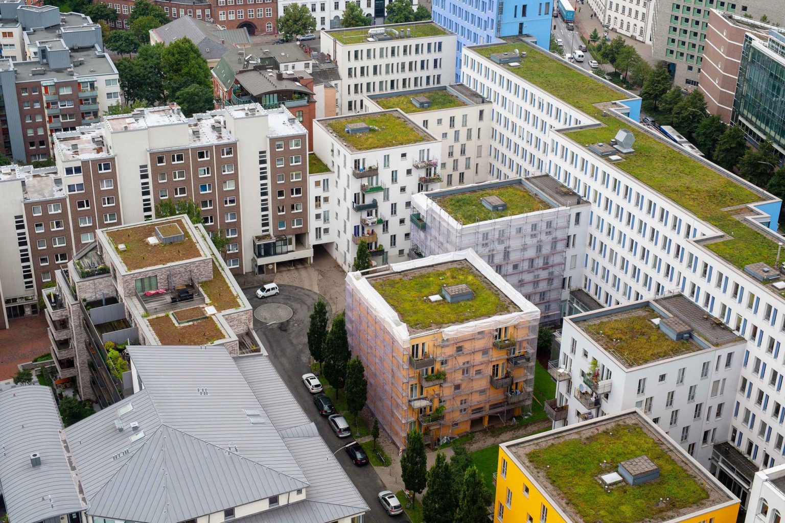 Grădina de pe bloc, o soluție de eficiență energetică