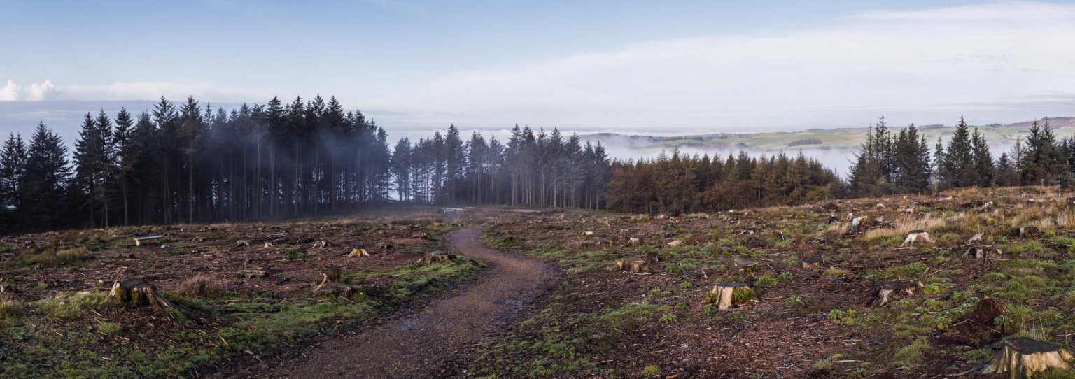 Fenomenele meteorologice extreme și încălzirea globală provoacă anual pierderi economice de peste 180 de miliarde de euro