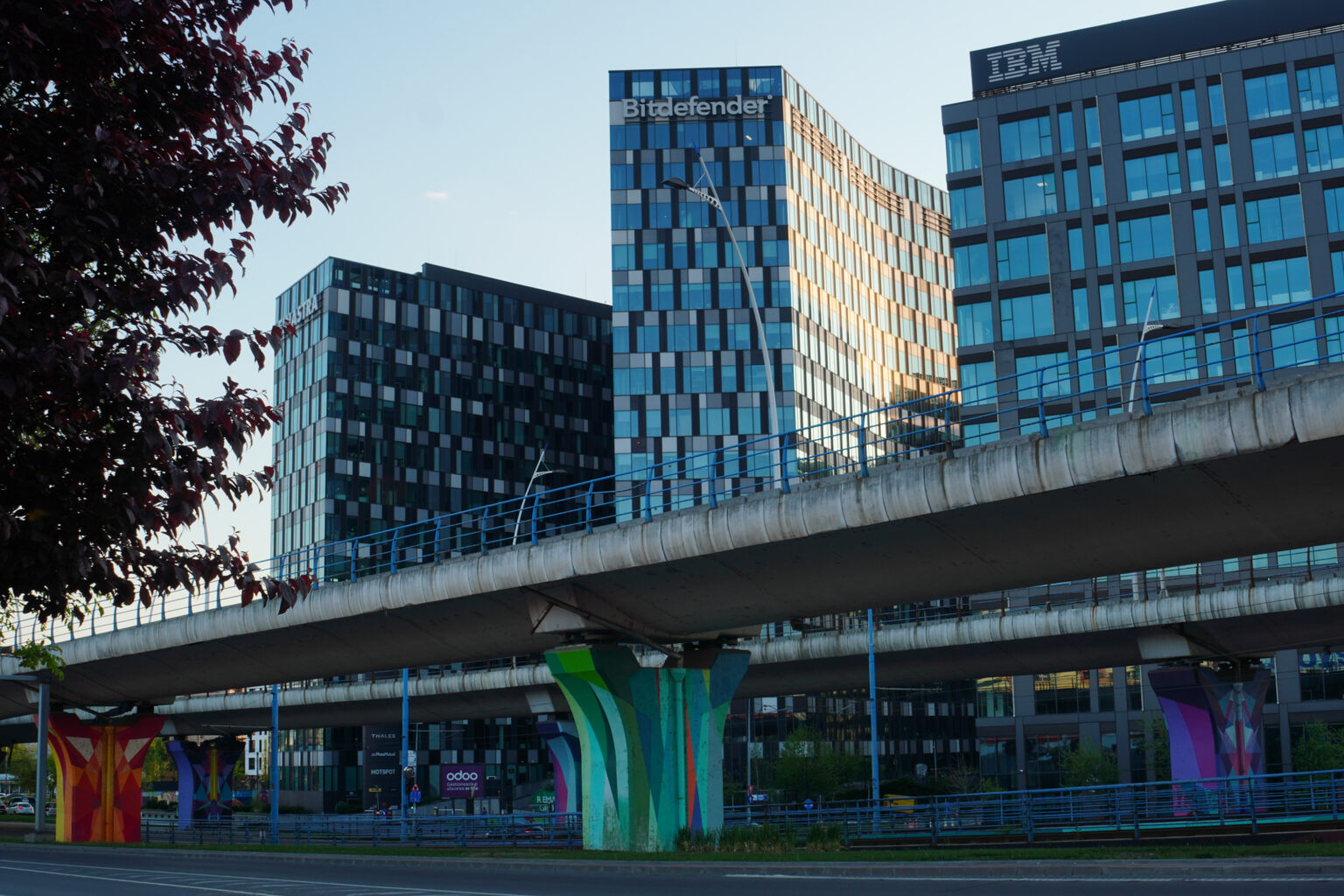 STUDIU EPG: Cât din suprafața marilor orașe ar trebui să fie acoperită cu panouri fotovoltaice pentru a consuma exclusiv energie de la soare