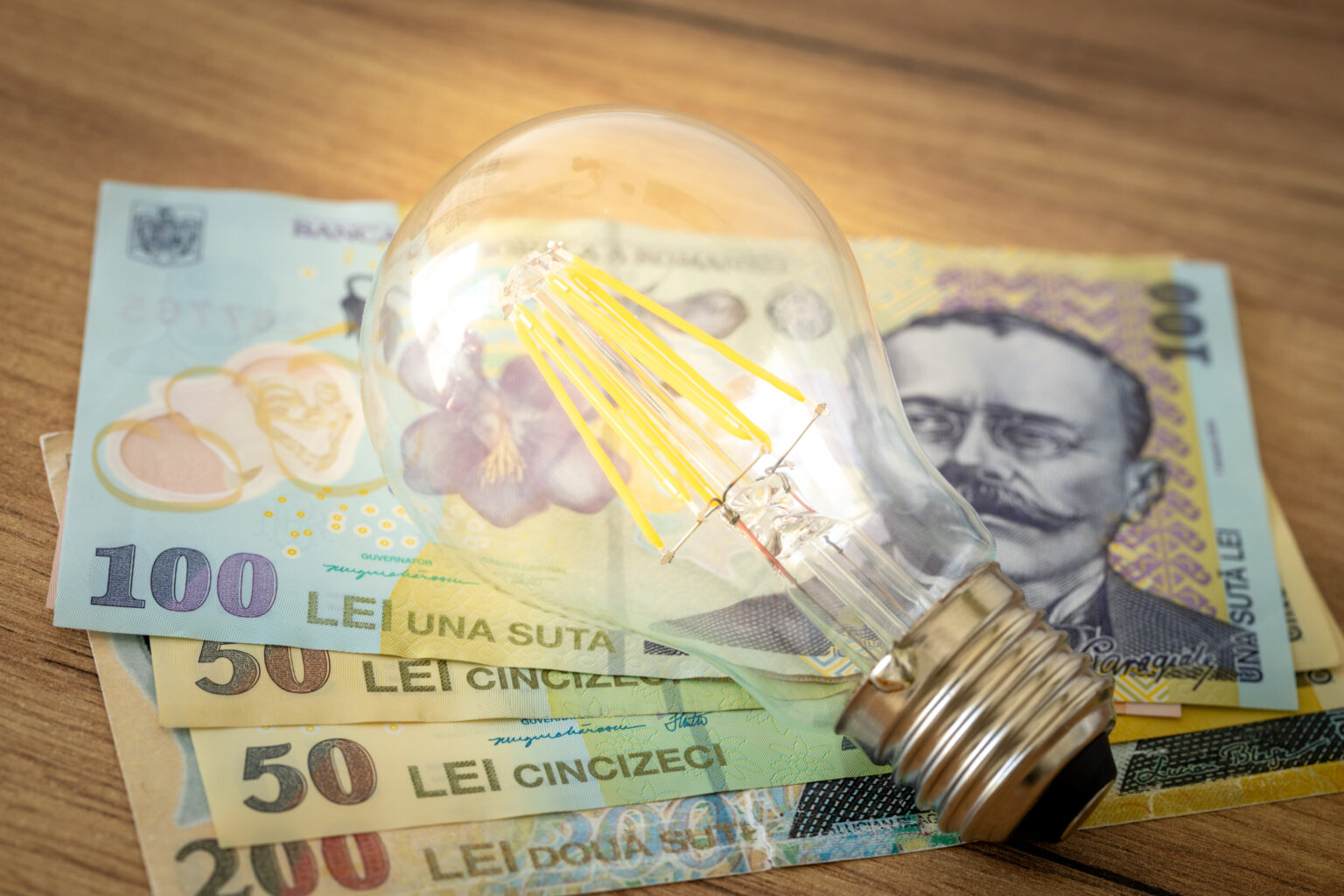 Ordonanță de urgență privind introducerea unui mecanism de sprijin pentru consumatorii casnici de energie electrică aflați în situația de sărăcie energetică