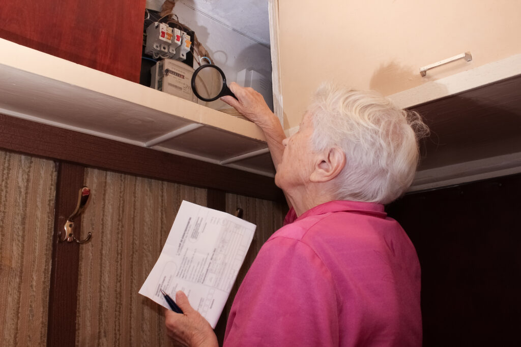 Vouchere de energie electrică 2025: cum să obții tichetele de 50 de lei?