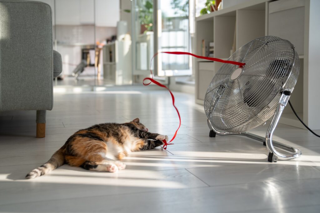 Cât te costă să ții o cameră la 22°C toată vara: calculul real pe metru pătrat 2 Cât te costă să ții o cameră la 22°C toată vara: calculul real pe metru pătrat